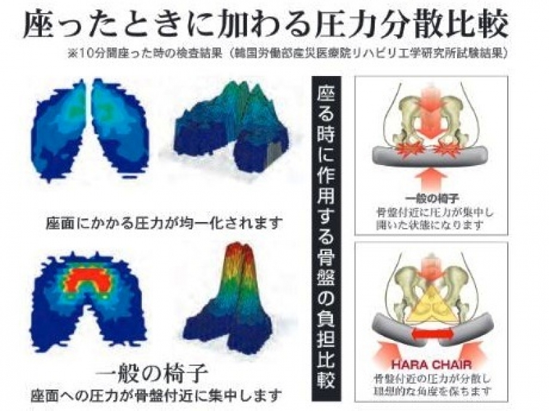 【販売終了】健康チェア　ハラチェア / HARA chair_5