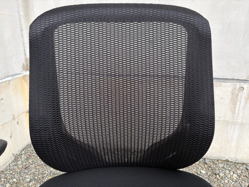 シルフィー　可動肘付き　ブラック　中古_3